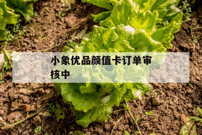 小象优品颜值卡订单审核中 第1张