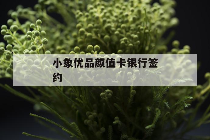 小象优品颜值卡银行签约 第1张