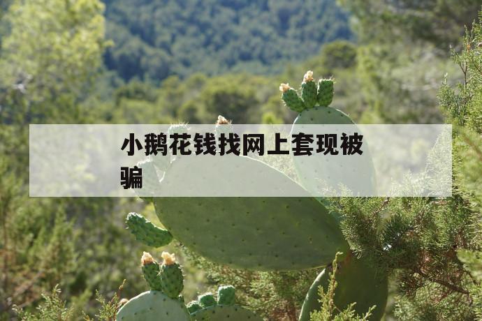 小鹅花钱找网上套现被骗 第1张