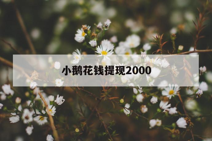 小鹅花钱提现2000 第1张