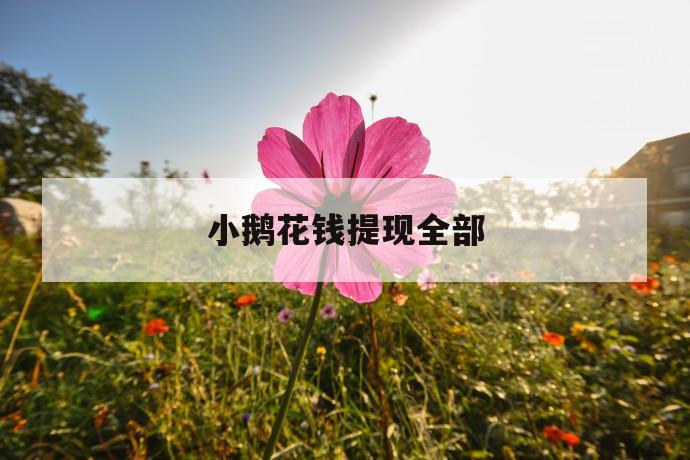 小鹅花钱提现全部 第1张