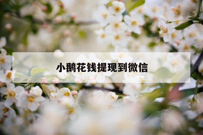 小鹅花钱提现到微信 第1张