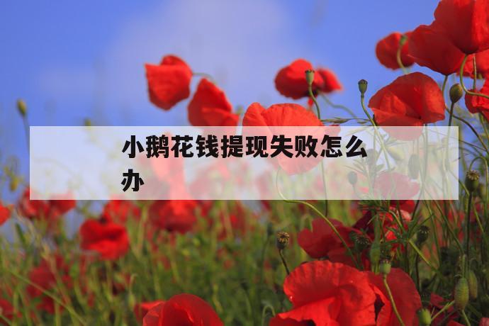 小鹅花钱提现失败怎么办 第1张