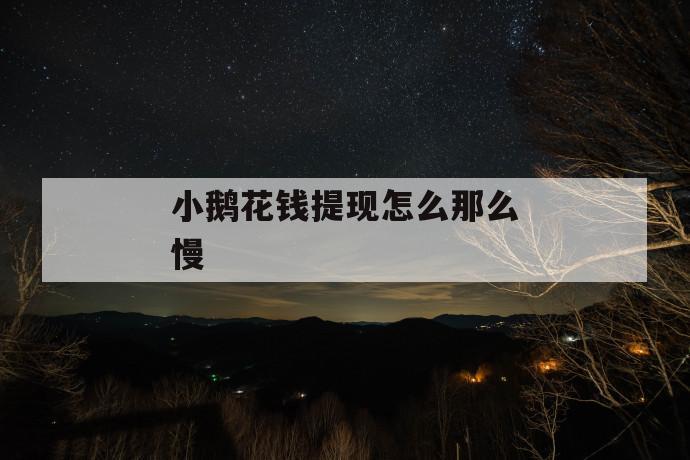 小鹅花钱提现怎么那么慢 第1张