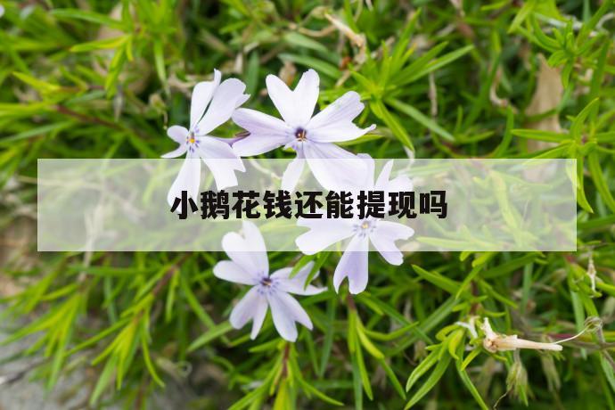 小鹅花钱还能提现吗 第1张