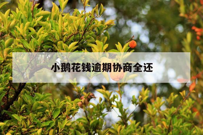 小鹅花钱逾期协商全还 第1张