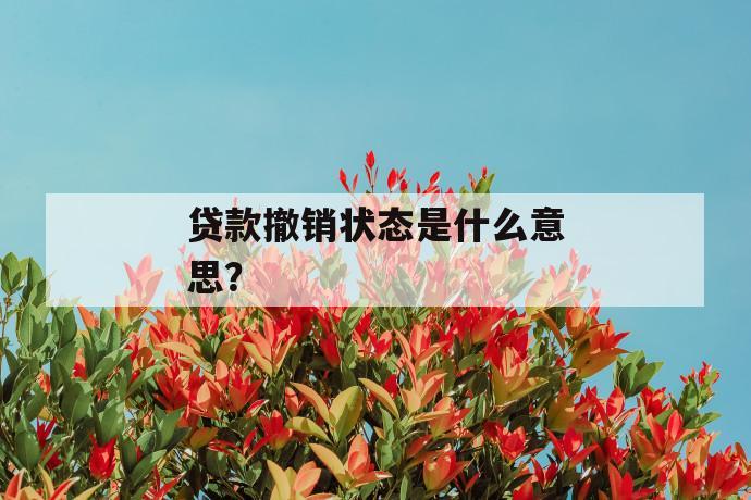 贷款撤销状态是什么意思？