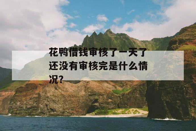 花鸭借钱审核了一天了还没有审核完是什么情况？