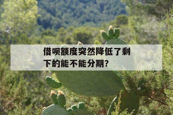 借呗额度突然降低了剩下的能不能分期？