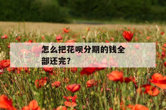 怎么把花呗分期的钱全部还完？