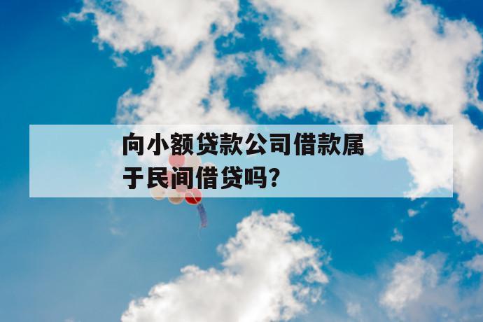 向小额贷款公司借款属于民间借贷吗？