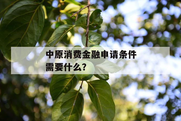 中原消费金融申请条件需要什么？