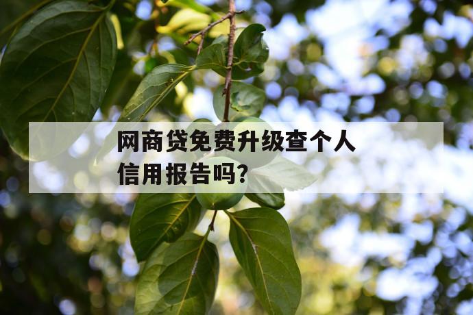 网商贷免费升级查个人信用报告吗？