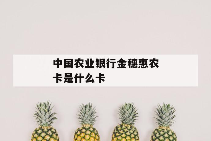 中国农业银行金穗惠农卡是什么卡