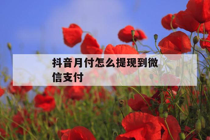 抖音月付怎么提现到微信支付 第1张