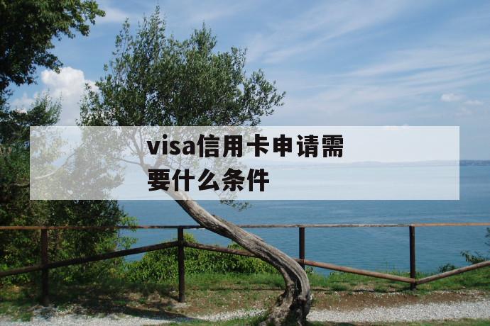 visa信用卡申请需要什么条件 第1张