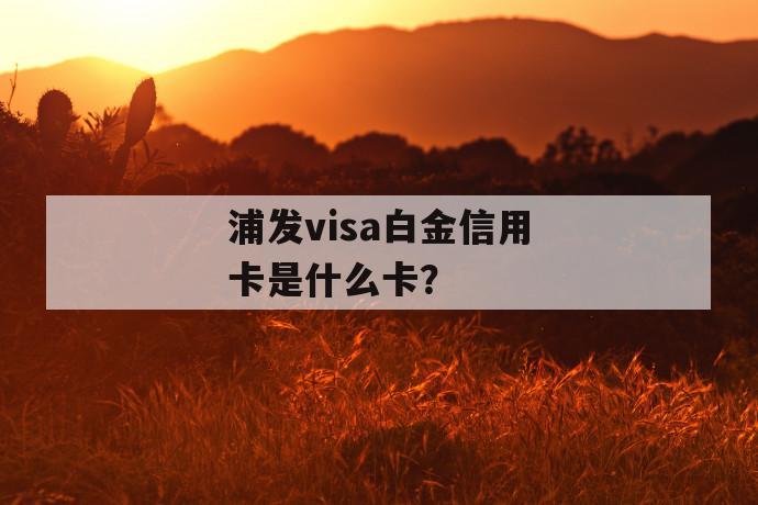 浦发visa白金信用卡是什么卡？