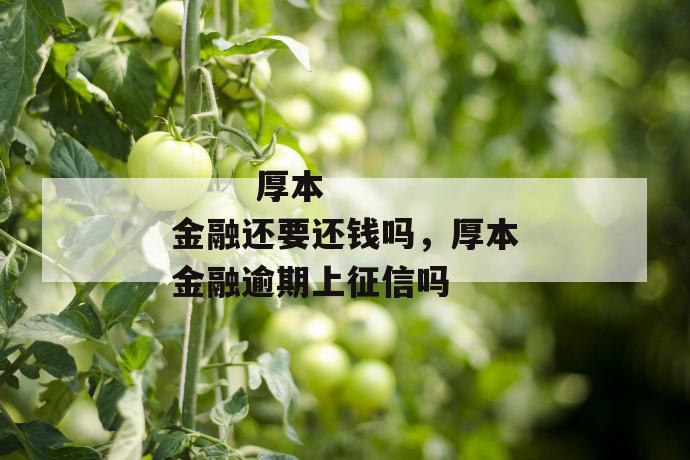 
  厚本金融还要还钱吗，厚本金融逾期上征信吗
 第1张