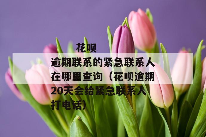 
  花呗逾期联系的紧急联系人在哪里查询（花呗逾期20天会给紧急联系人打电话）
 第1张