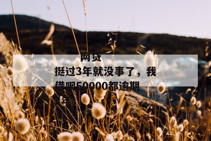 
       网贷挺过3年就没事了，我借呗50000都逾期2年
     