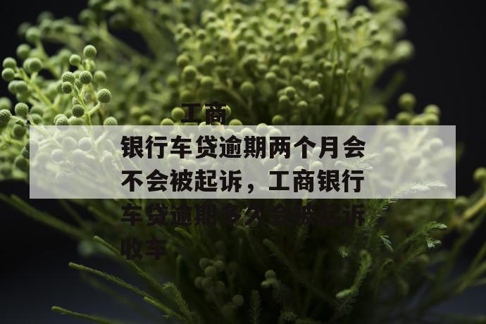 
       工商银行车贷逾期两个月会不会被起诉，工商银行车贷逾期多久会被起诉收车
     