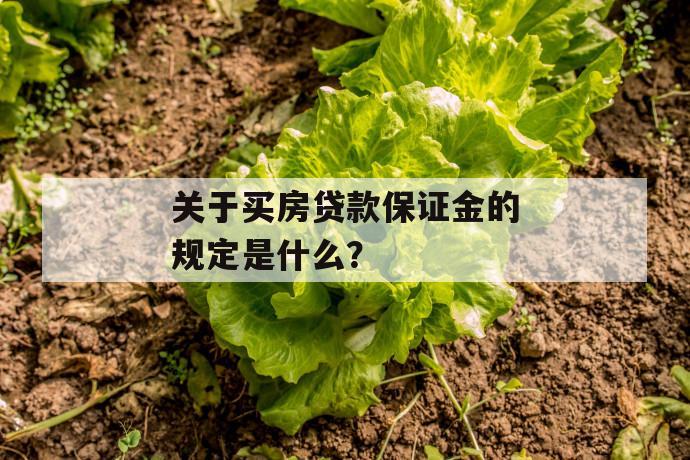 
  赢卡贷逾期案例（赢卡贷逾期案例分析）
 第1张