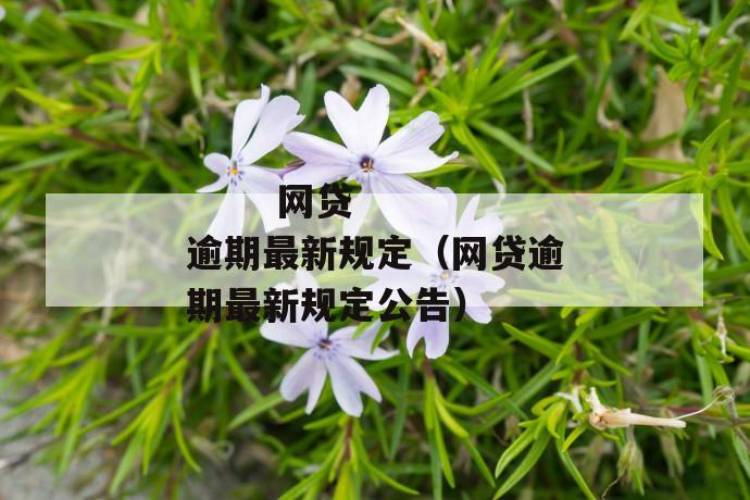 
  网贷逾期最新规定（网贷逾期最新规定公告）
 第1张