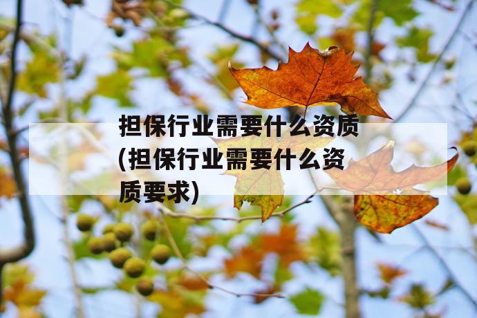 担保行业需要什么资质(担保行业需要什么资质要求)