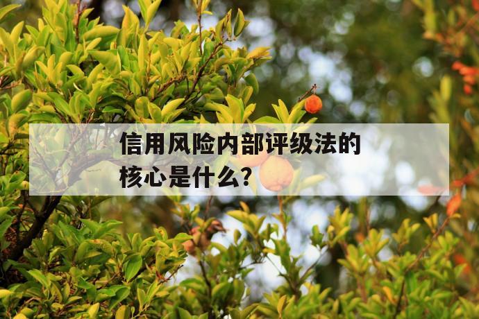 
  征信记录信用卡逾期（征信记录信用卡逾期6次）
 第1张