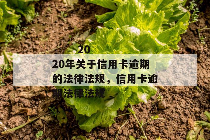 
       2020年关于信用卡逾期的法律法规，信用卡逾期法律法规
     