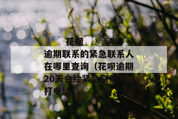 
       花呗逾期联系的紧急联系人在哪里查询（花呗逾期20天会给紧急联系人打电话）
     