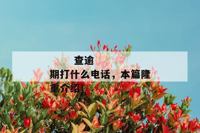 
       查逾期打什么电话，本篇隆重介绍！
     