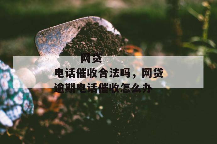 
       网贷电话催收合法吗，网贷逾期电话催收怎么办
     