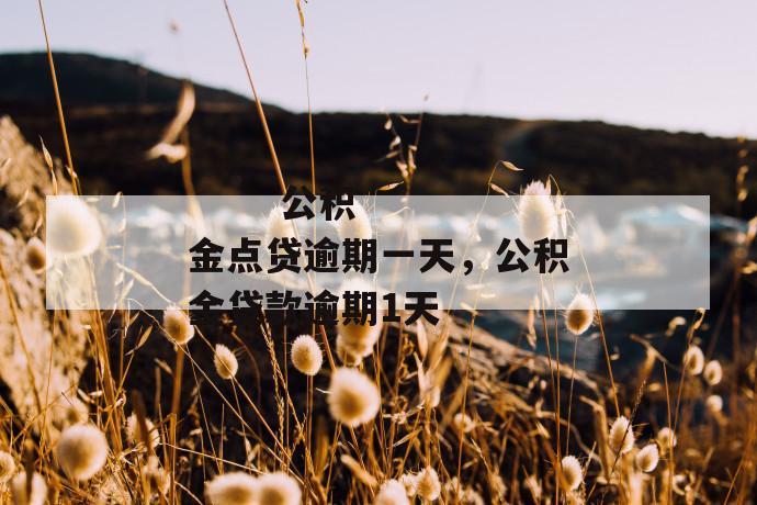 
       公积金点贷逾期一天，公积金贷款逾期1天
     