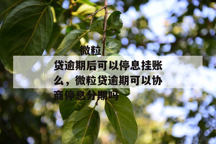 
       微粒贷逾期后可以停息挂账么，微粒贷逾期可以协商停息分期吗
     