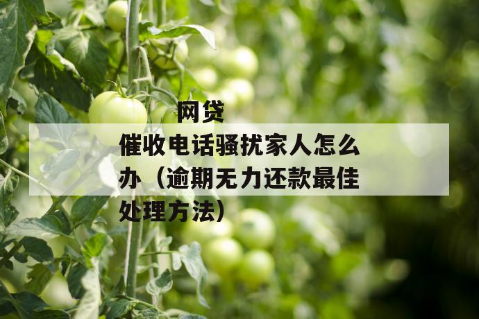 
       网贷催收电话骚扰家人怎么办（逾期无力还款最佳处理方法）
     