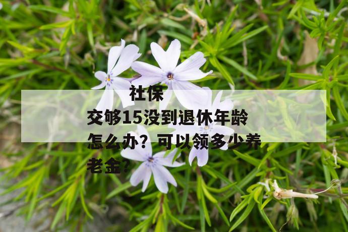 
  社保交够15没到退休年龄怎么办？可以领多少养老金？
 第1张