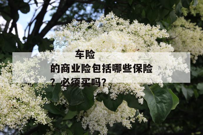 
  车险的商业险包括哪些保险？必须买吗？
 第1张