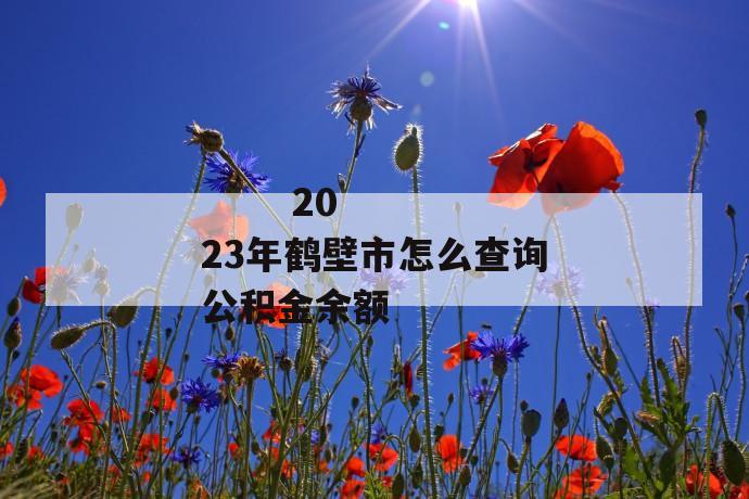 
  2023年鹤壁市怎么查询公积金余额
 第1张