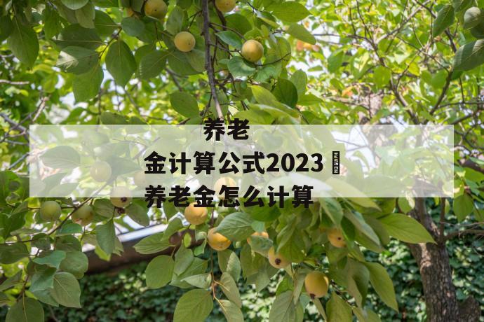 
  养老金计算公式2023 养老金怎么计算
 第2张