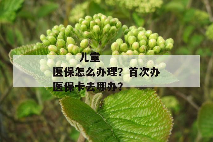 
  儿童医保怎么办理？首次办医保卡去哪办？
 第1张