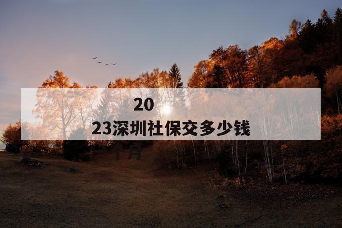 
  2023深圳社保交多少钱一个月
 第1张