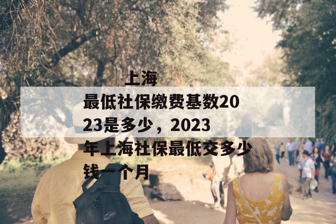 
  上海最低社保缴费基数2023是多少，2023年上海社保最低交多少钱一个月
 第1张