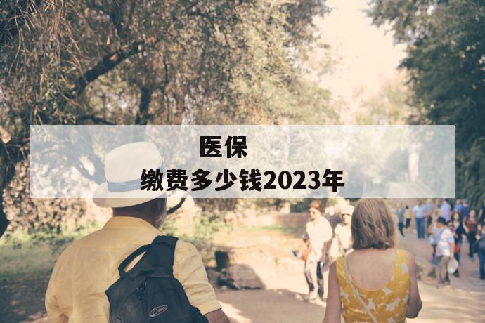 
  医保缴费多少钱2023年
 第1张