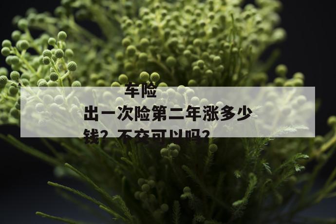 
  车险出一次险第二年涨多少钱？不交可以吗？
 第1张