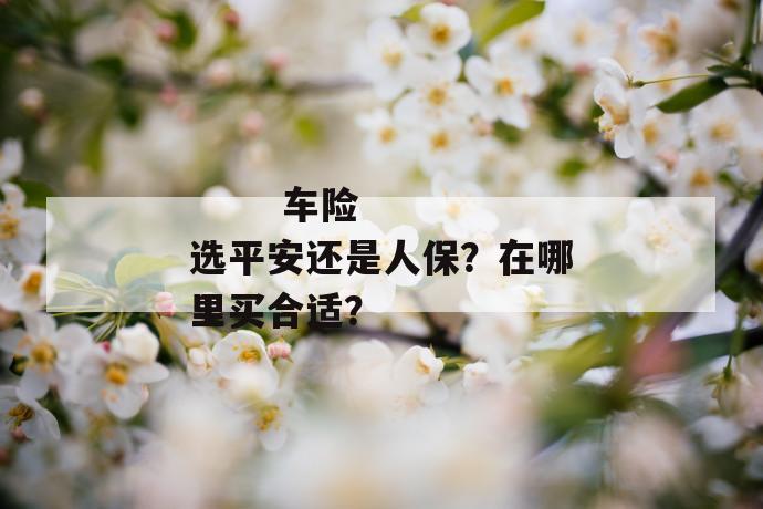 
  车险选平安还是人保？在哪里买合适？
 第1张