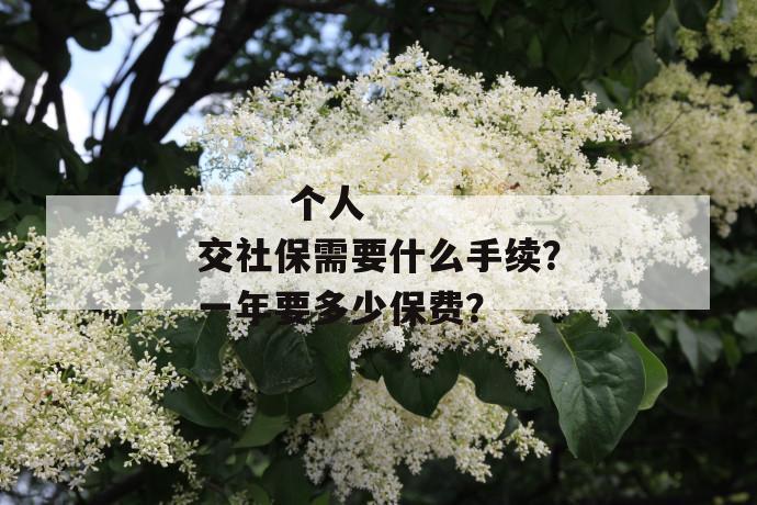 
  个人交社保需要什么手续？一年要多少保费？
 第1张