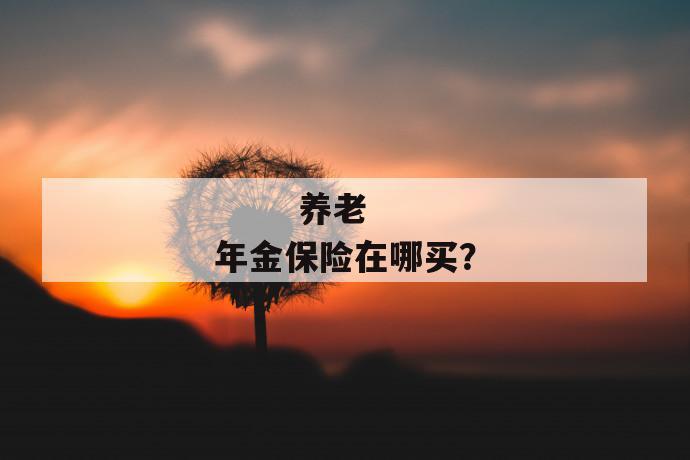 
  养老年金保险在哪买？
 第1张