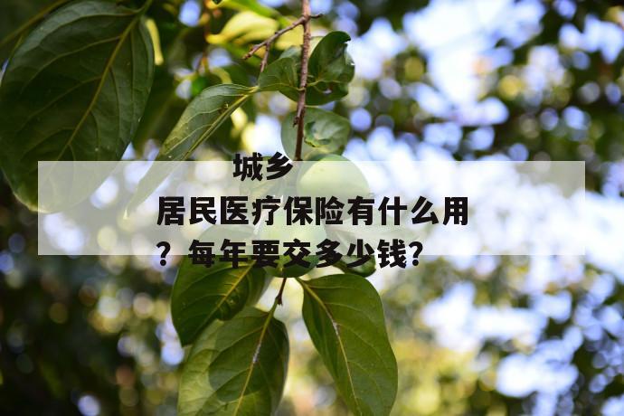 
  城乡居民医疗保险有什么用？每年要交多少钱？
 第1张