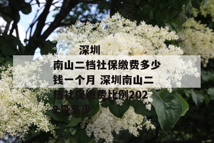 
  深圳南山二档社保缴费多少钱一个月 深圳南山二档社保缴费比例2022是多少
 第1张